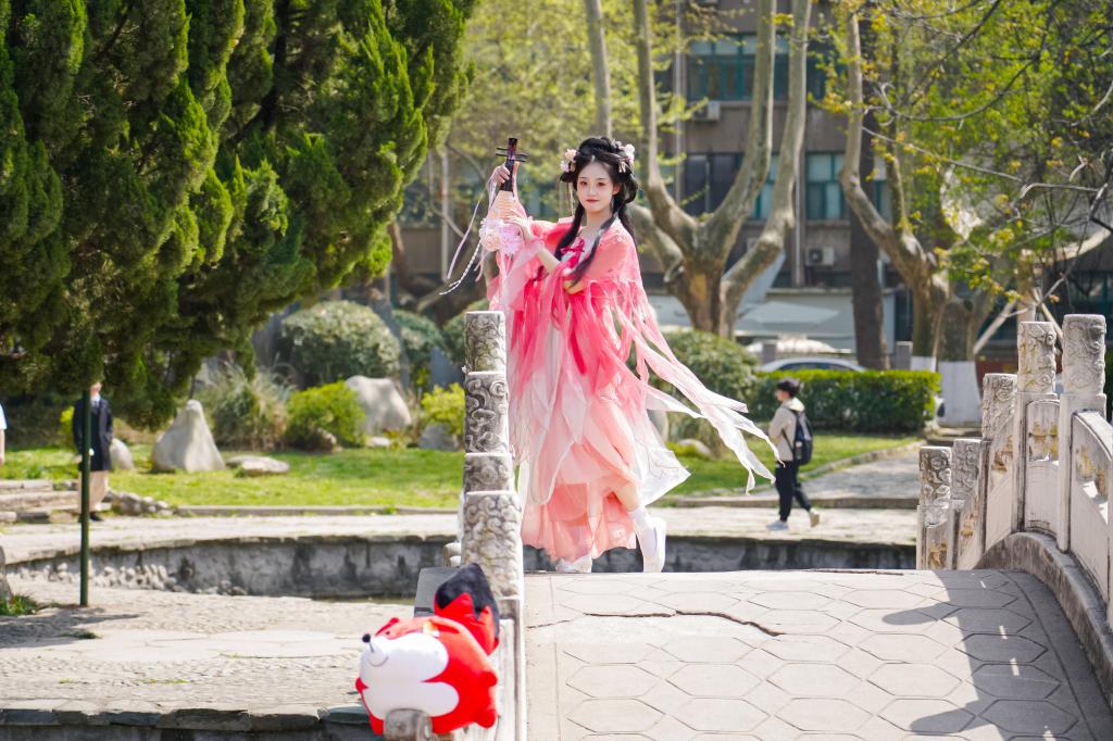 DSC08456 DSC08456